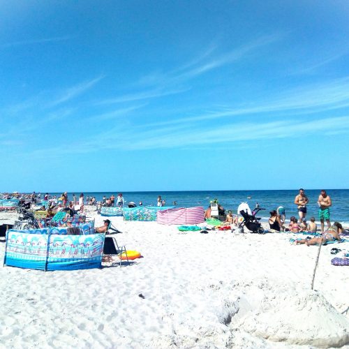 IMG_20190820_120658084