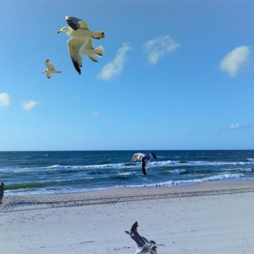 IMG_20220614_185811417