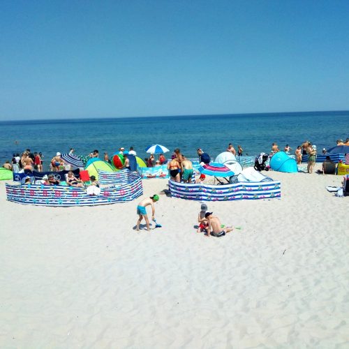 IMG_20220626_115059347