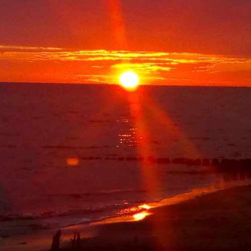 IMG_20220809_052609821