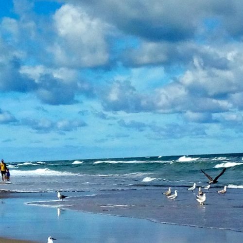 IMG_20220830_112233342