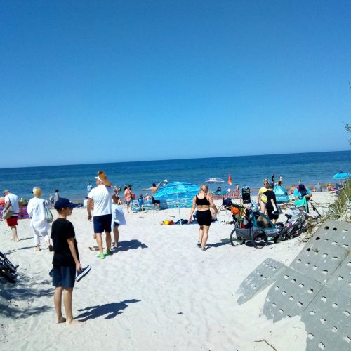 IMG_20230608_142131335