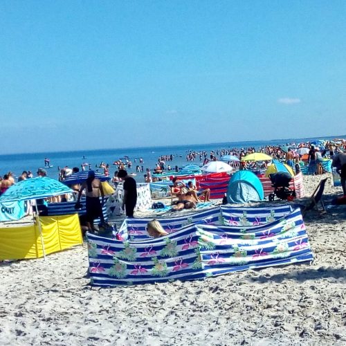 IMG_20230815_124624019