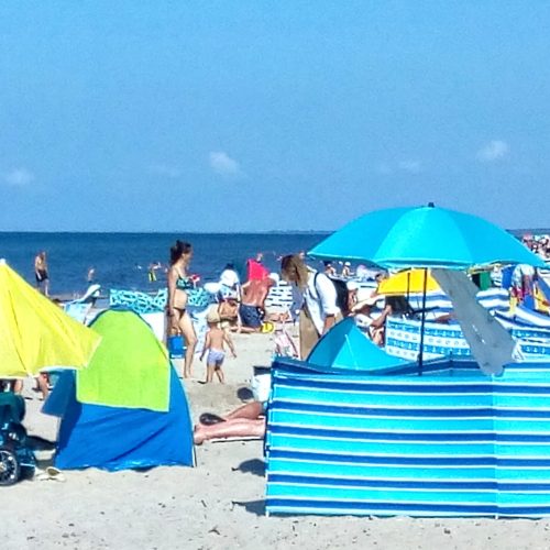 IMG_20240803_155439199