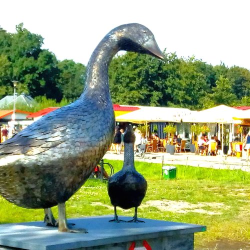 .trashed-1726420731-IMG_20240805_162755245